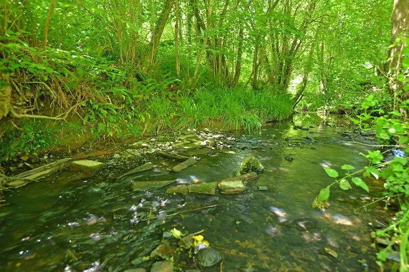 Osbornes Holiday House Near Exeter With Swimming Pool United Kingdom
